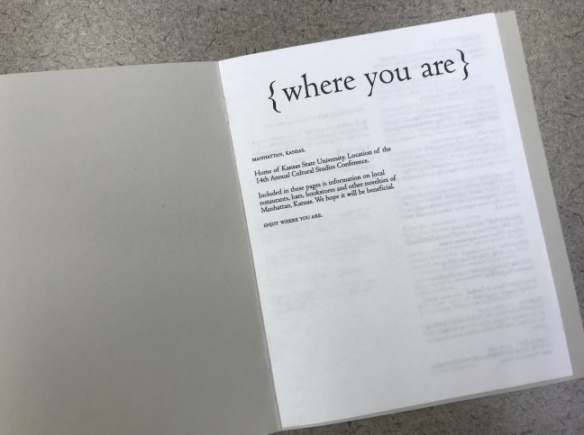 blog_cult_studies_conf_programs_practice1_2005