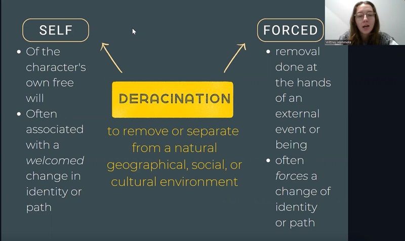 painted_lion_photo4_video_hammeke_dec22_800x476