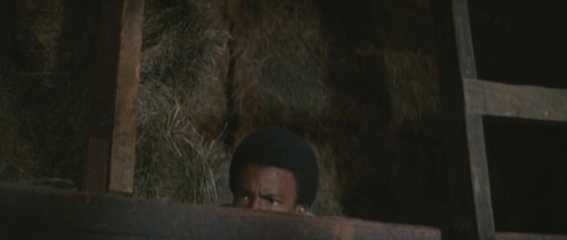 learning_tree_screenshot_barn_loft_800x339